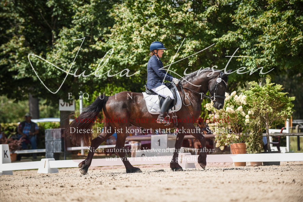 DSC_9162 | Pferde- und Turnierfotografie in Westsachsen. Pferdeportraits, Auftragszeichnungen und intuitive Kunst.