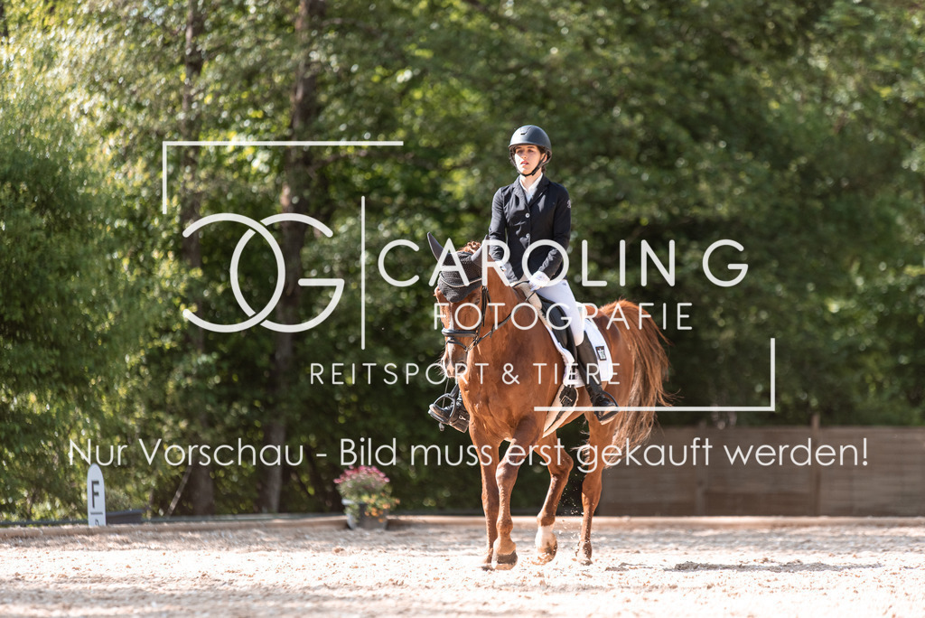 DSC_9291 | Turnierfotografin Carolin Gieschke, Turnierfotografie Carolin G Fotografie, Turnierfotos Kirchheim/Teck, Esslingen, Stuttgart, Bodenseekreis