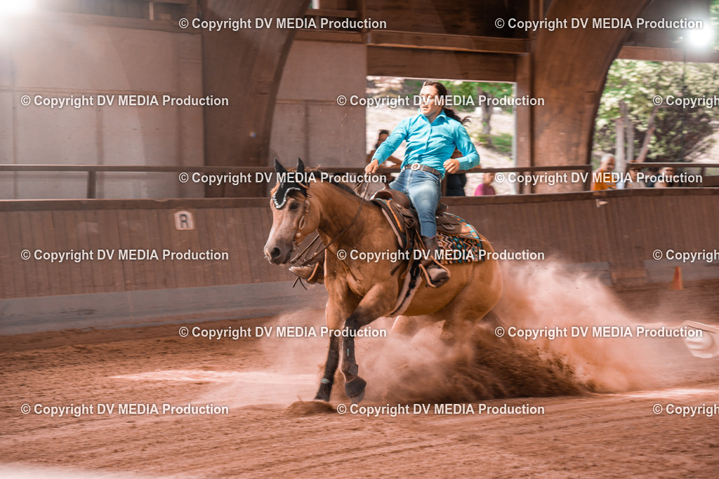 NE300683 | dv-media-shop - Realisiert mit Pictrs.com