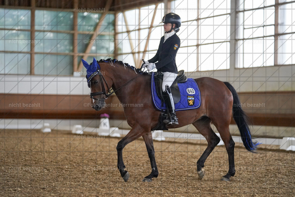 20240825-FAH09186 | Turnierbilder, Reitsportfotos, LAPO, Landesponyturnier, Turnierfotografen Bayern