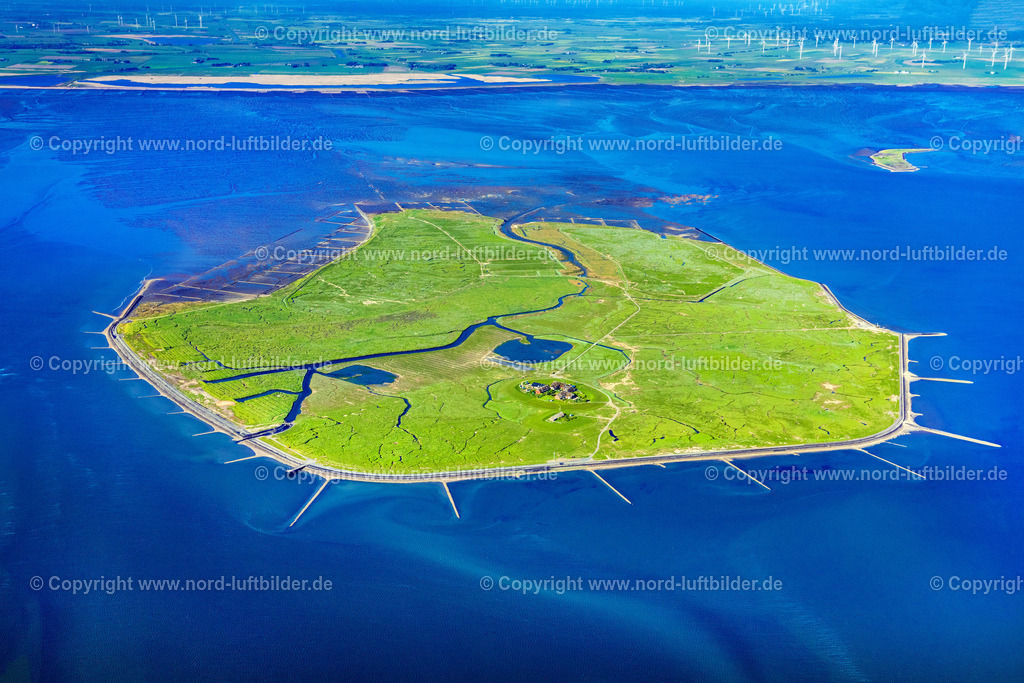 Gröde_Hallig_ELS_0730300523 | GRöDE 30.05.2023 Grasflächen- Strukturen einer Hallig- Landschaft im nordfriesischen Wattenmeer in Gröde im Bundesland Schleswig-Holstein, Deutschland. Kleine Insel im Nationalpark Wattenmeer. // Green space structures a Hallig Landscape of north sea in Groede in the state Schleswig-Holstein, Germany. Foto: Martin Elsen