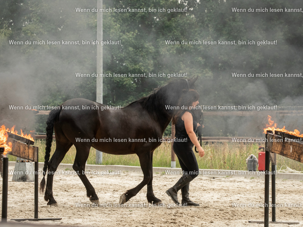 598A7014 | photographylinaismer - Realisiert mit Pictrs.com