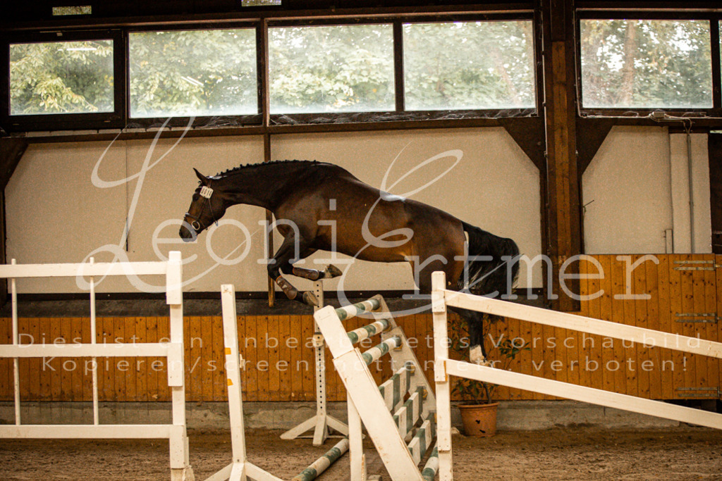 2FS_L00007 | Leoni Ertmer Photography - Realisiert mit Pictrs.com