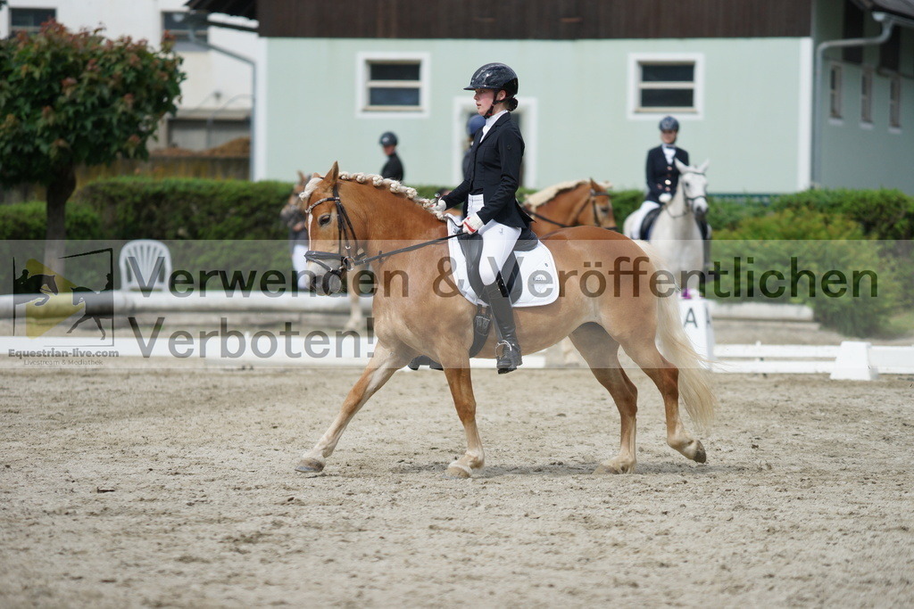 DSC05409 | equestrian-live-com