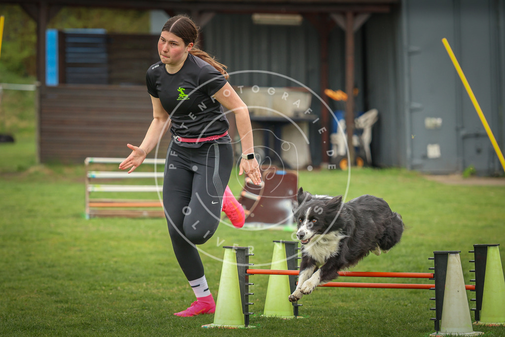 Pfotenfotografie_0L8A0816 | Hundefotografie, Tierfotograf, Pfotenfotografie, Fotoshooting Hund, Hunde Portrait, Hundesport, Hundeportraits, Heideshooting, Hunde, Sportfotograf, Hundefotograf, Turnierhundsport, THS,  - Realisiert mit Pictrs.com