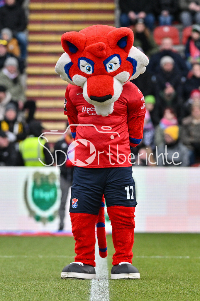 SpVgg Unterhaching - Dynamo Dresden | Das Maskottchen der Spvgg vor der Partie / Schweigeminute / Trauer / Magdeburg / Anschlag / Fonsi / Freisteller / Einzelfoto / 3. Liga: SpVgg Unterhaching - Dynamo Dresden, Uhlsportpark am 21.12.2024