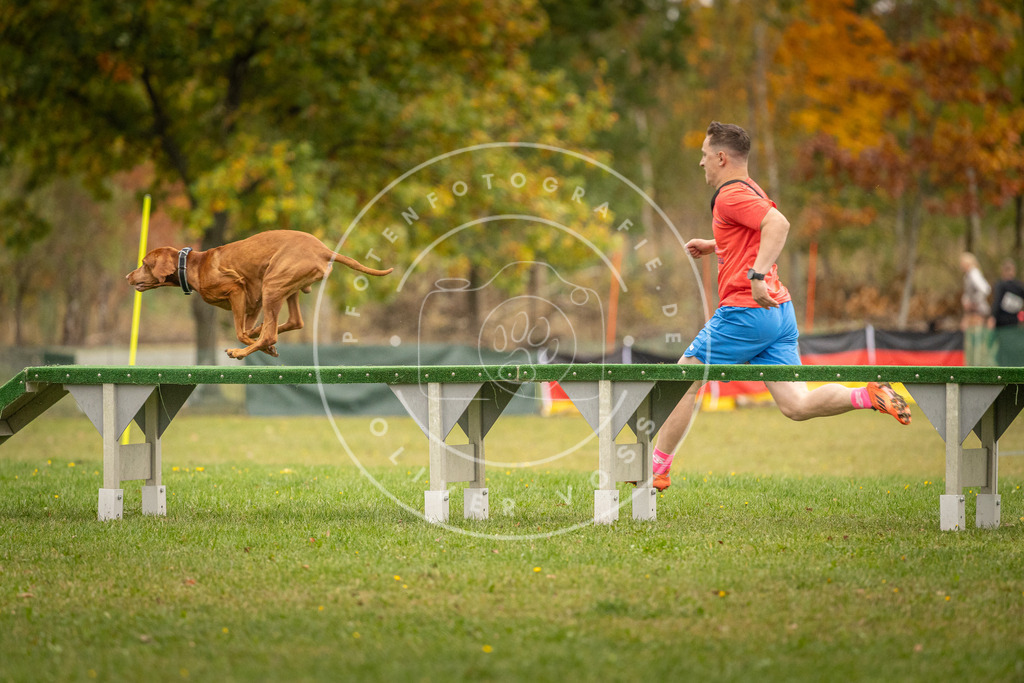 Pfotenfotografie_DV3A7139 | Hundefotografie, Tierfotograf, Pfotenfotografie, Fotoshooting Hund, Hunde Portrait, Hundesport, Hundeportraits, Heideshooting, Hunde, Sportfotograf, Hundefotograf, Turnierhundsport, THS,  - Realisiert mit Pictrs.com