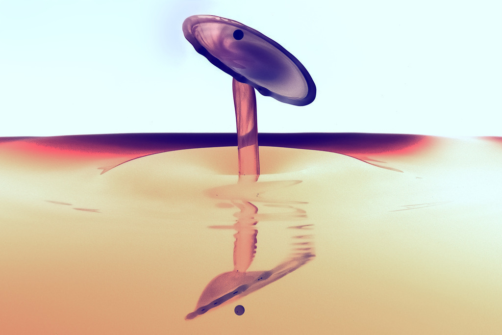 Tropfen-02 | In diesem Shop werden vorwiegend künstlerisch hochstehende Aufnahmen aus dem Bereich der Naturfotografie zum Verkauf angeboten. - In this store mainly artistic high quality shots from the field of nature photography are offered for sale. - Realisiert mit Pictrs.com