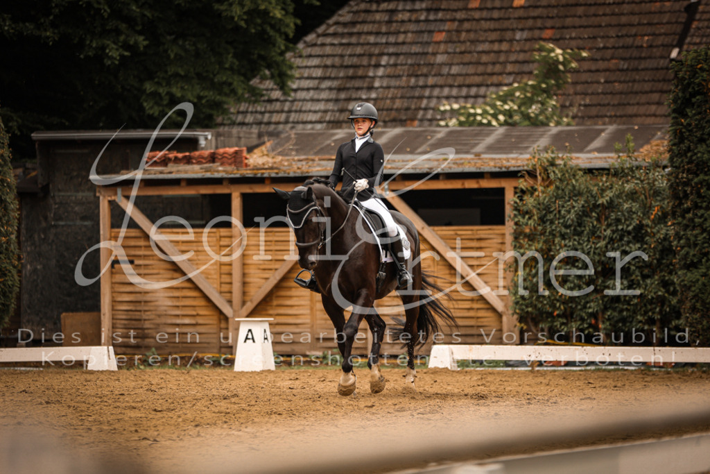 DoDrE00179 | Leoni Ertmer Photography - Realisiert mit Pictrs.com