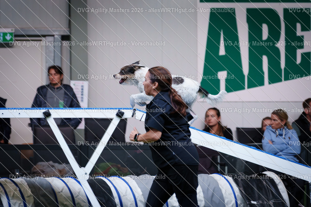 allesWIRTHgut_Tierfotografie-DVG_Agility_Masters_2026-15_02-7R506002 | Professionelle Tierfotografie in Mönchengladbach von Daniel Wirth (allesWIRTHgut). Liebevolle & natürliche Bilder von Hunden & Katzen für unvergessliche Erinnerungen.