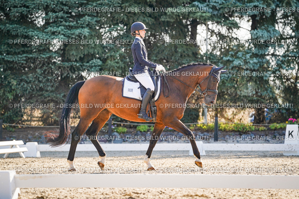 DSC08802 | Pferdegrafie