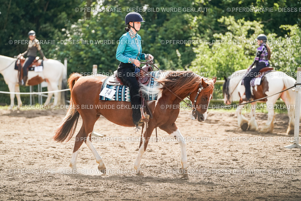 DSC04887 | Pferdegrafie