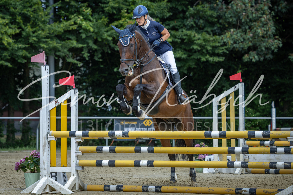 20260704-_3LI0757 | Tierfotografie Pferde, Hunde, Katzen, Haustiere.
Turnierfotografie Reitturniere, Reiten, Springreiten, Dressur in Hanau, dem Main-Kinzig-Kreis und dem Rhein-Main- Gebiet um Frankfurt