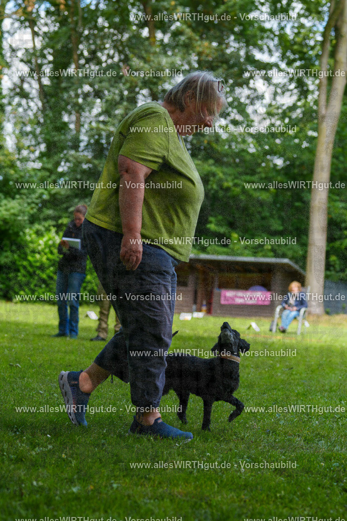 @allesWIRTHgut_Tierfotografie - www.allesWIRTHgut.de - 125030-7R509501 | Professionelle Tierfotografie in Mönchengladbach von Daniel Wirth (allesWIRTHgut). Liebevolle & natürliche Bilder von Hunden & Katzen für unvergessliche Erinnerungen.