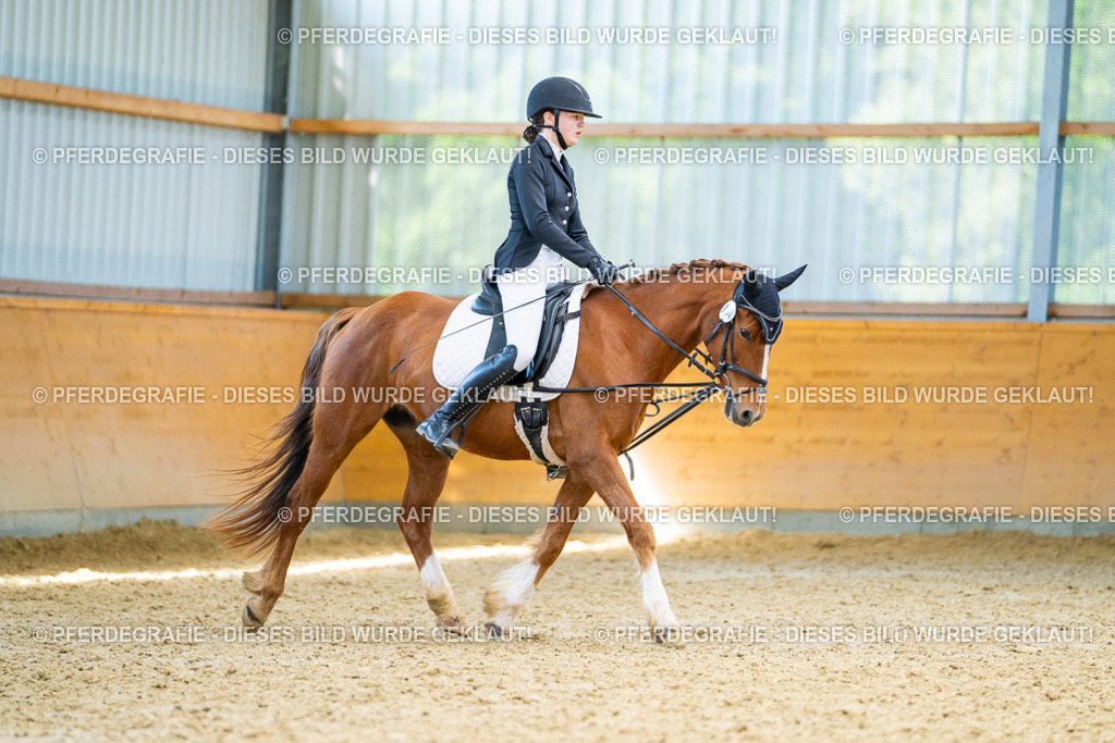 DSC08867 | Pferdegrafie