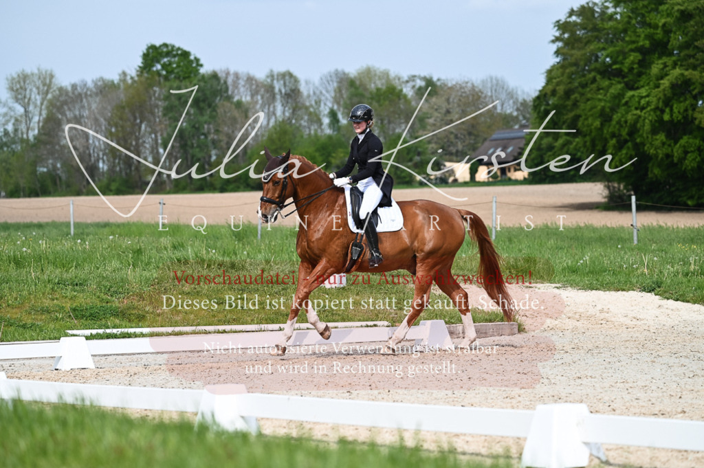 20230513_JK-Röhrsdorf-12-378-2 | Pferde- und Turnierfotografie in Westsachsen. Pferdeportraits, Auftragszeichnungen und intuitive Kunst.