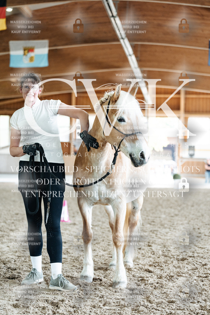 CK908626 | Turnierfotografie Pferdefotografie Trier Rheinland-Pfalz Pferdesport Reitsport Tierfotografie Sportfotografie Pferdevideo Pferdevideografie Equestrianvideography equestrianphotography  - Realisiert mit Pictrs.com