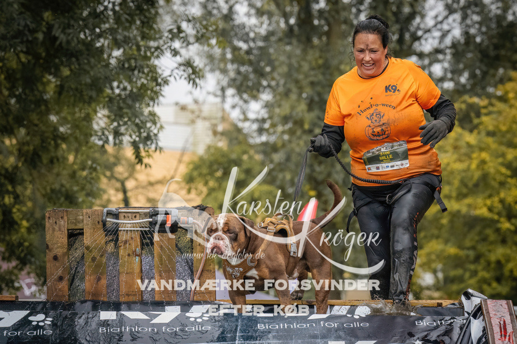 1207_ZZ94355 | kk-dogfotos