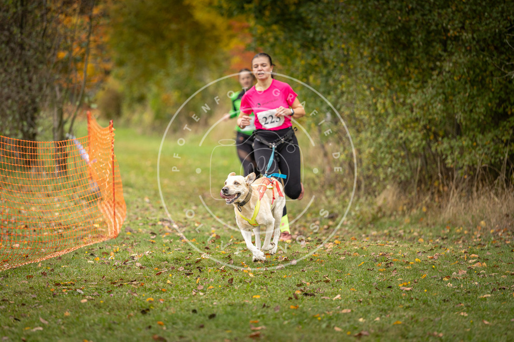 Pfotenfotografie_DV3A4576 | Hundefotografie, Tierfotograf, Pfotenfotografie, Fotoshooting Hund, Hunde Portrait, Hundesport, Hundeportraits, Heideshooting, Hunde, Sportfotograf, Hundefotograf, Turnierhundsport, THS,  - Realisiert mit Pictrs.com
