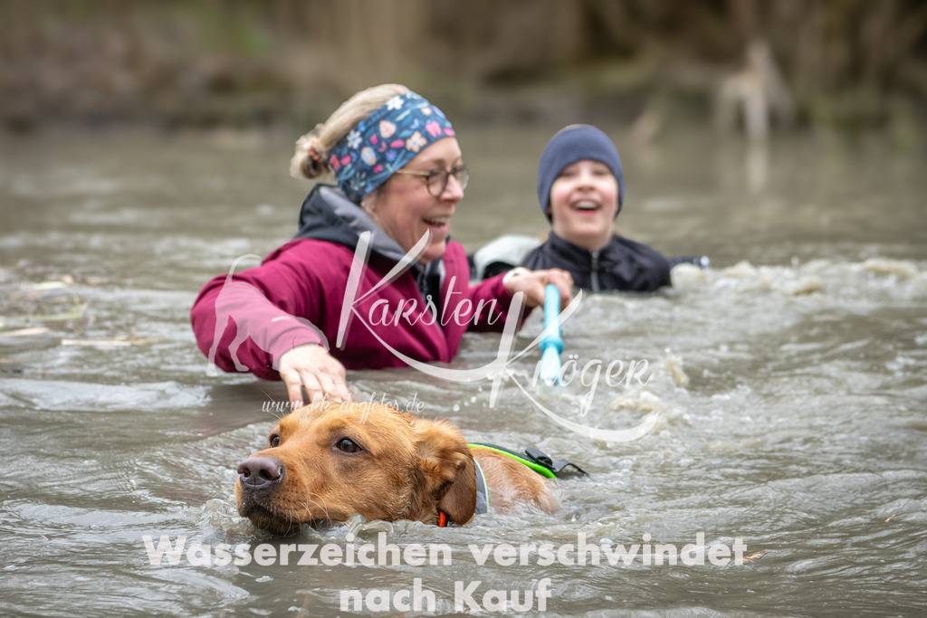 1131_ZZ99817 | kk-dogfotos