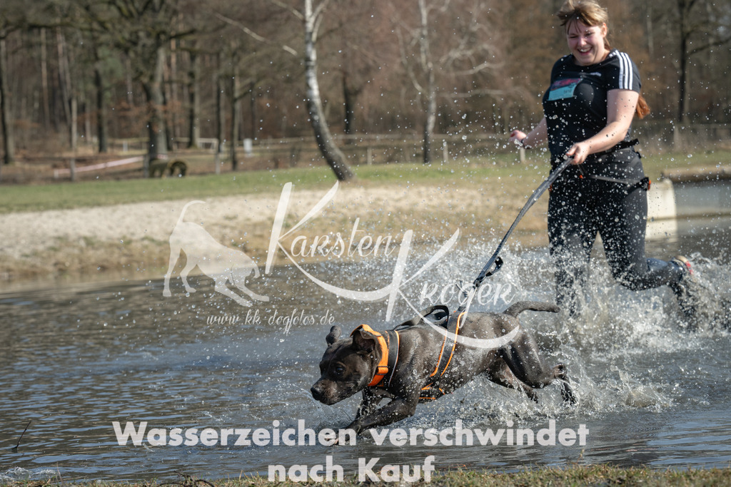 1309_ZZ94995 | kk-dogfotos
