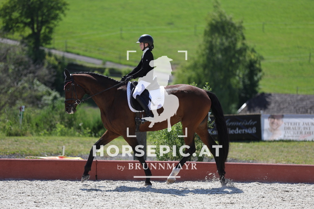 0P6A7237 | Willkommen bei Brunnmayr - Design & Fotografie – Ihrem Spezialisten für Reitturniere und Pferdeveranstaltungen in Oberösterreich, Salzburg und Bayern! Seit über 17 Jahren sind wir leidenschaftlich dabei.