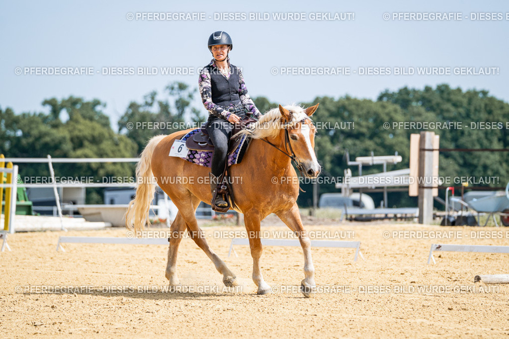 DSC00169 | Pferdegrafie