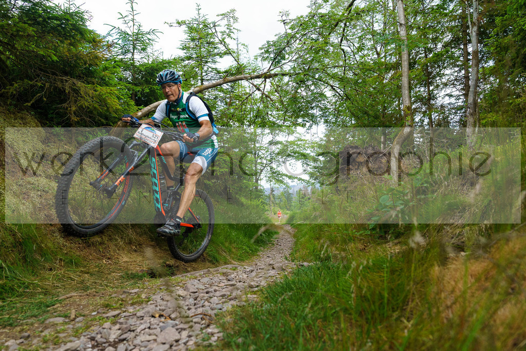 Rennsteig-Staffellauf 2023 | Rennsteig-Staffellauf - Hörschel bis Blankenstein - 17. Juni 2023