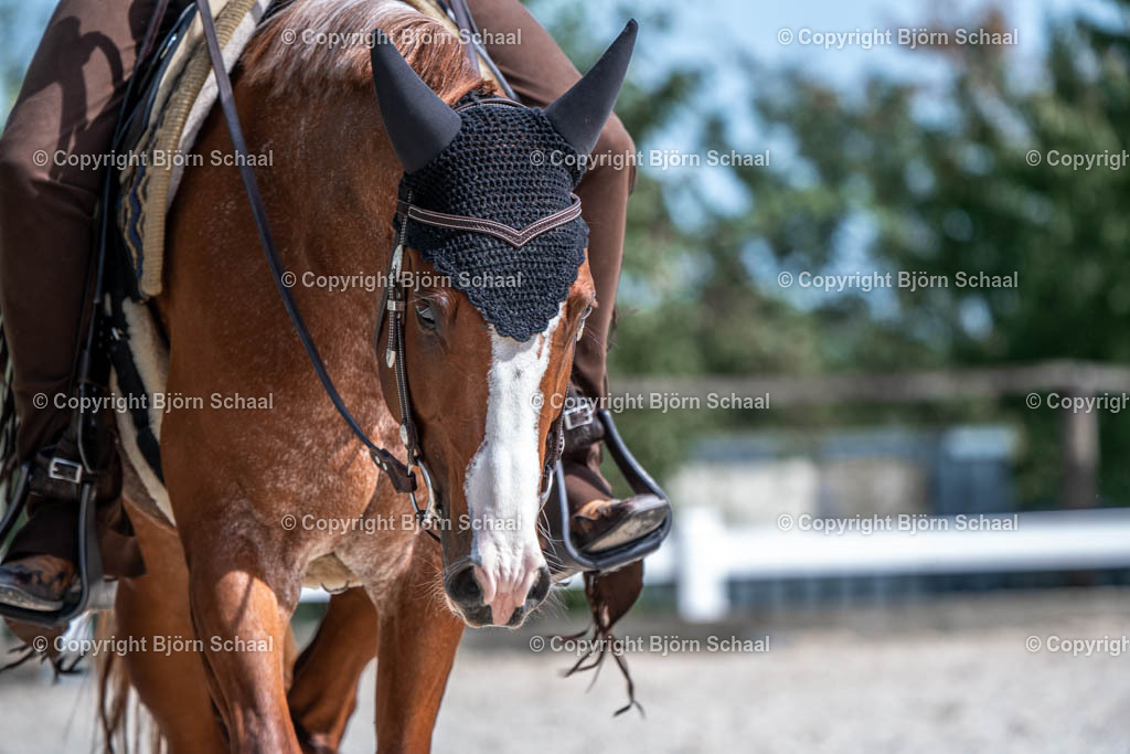 HOB01034 | BS-foto