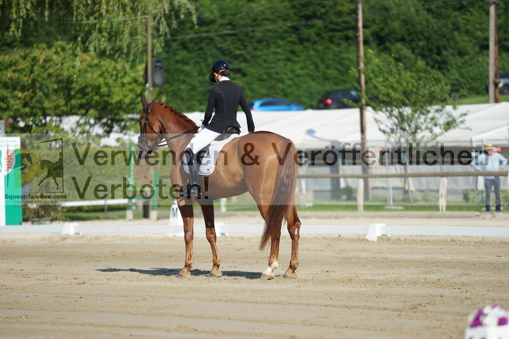 DSC03981 | equestrian-live-com