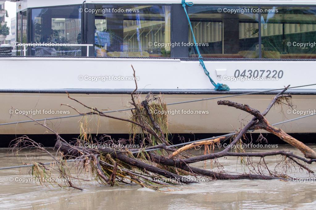 Linz_ Urfahr_ Hochwasser_ 17.09.2024-39 | 17.09.2024, Linz, AUT, Urfahr, Hochwasser, im Bild Hochwasser, Hochwasserschutz Donaulaende Linz Urfahr, Donau, Linzer Strasse, Ueberflutung