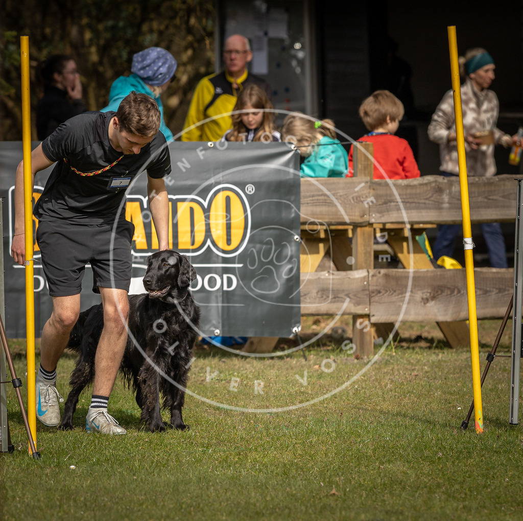 Pfotenfotografie_DV3A9299 | Hundefotografie, Tierfotograf, Pfotenfotografie, Fotoshooting Hund, Hunde Portrait, Hundesport, Hundeportraits, Heideshooting, Hunde, Sportfotograf, Hundefotograf, Turnierhundsport, THS,  - Realisiert mit Pictrs.com