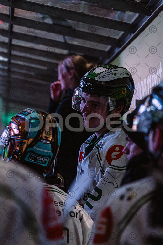 Erding_vs_Alligators_02_01_2026-22 | Höchstadt Alligators Fotogalerie: Eishockey-Action aus Franken. Professionelle Spielfotos, Portraits & Stadionbilder zum Download. Jetzt entdecken! - Realisiert mit Pictrs.com