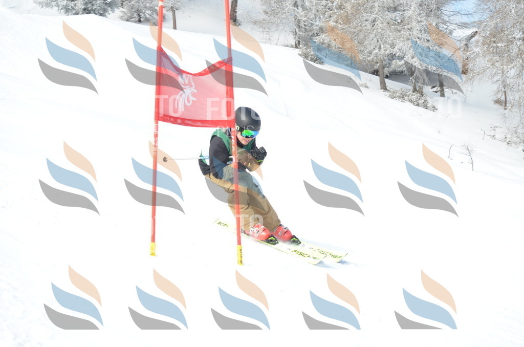 D8809 | holidayphoto