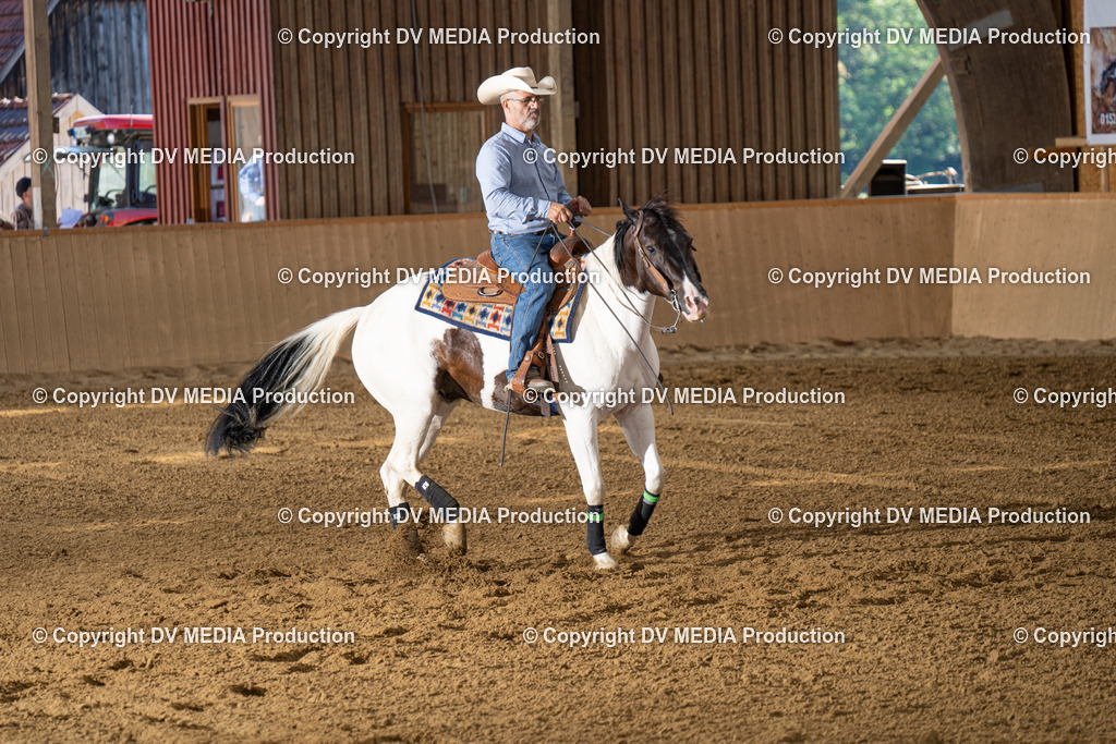 DSC00036 | dv-media-shop - Realisiert mit Pictrs.com