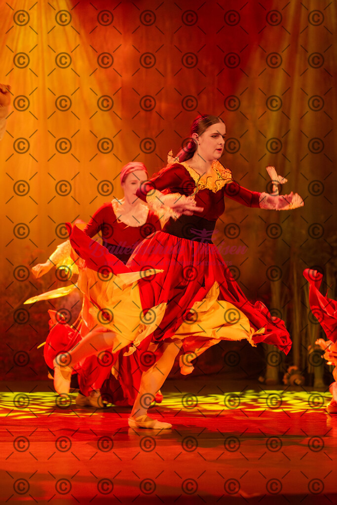 Ballettaufführung-1477 | Bildershop Lem'n Entertainment - Realisiert mit Pictrs.com