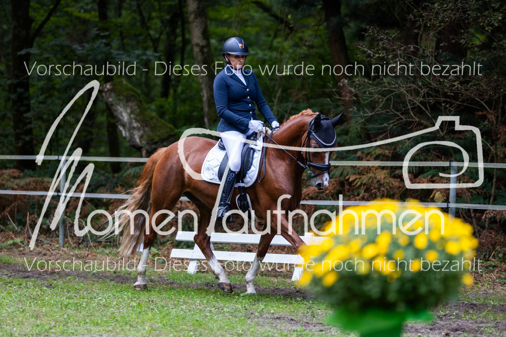 HB-A-Dressur-156 | MomenTaufnahmen Pferdesportfotos