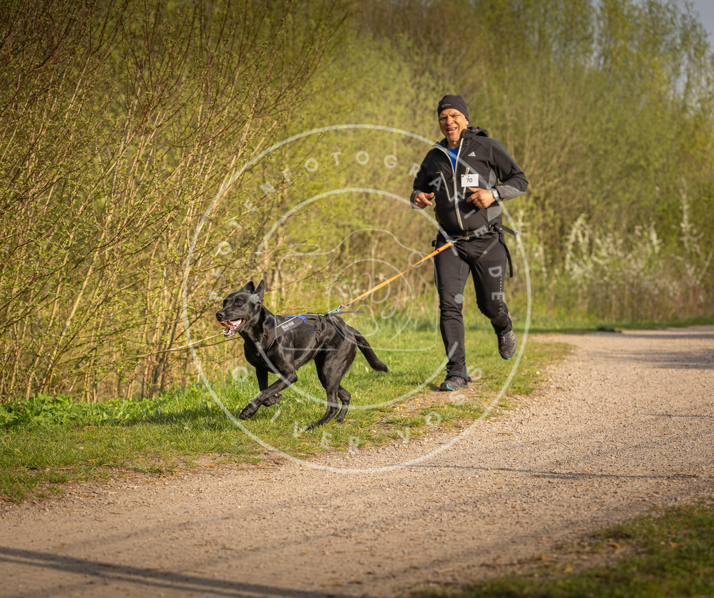 Pfotenfotografie_DV3A4731 | Hundefotografie, Tierfotograf, Pfotenfotografie, Fotoshooting Hund, Hunde Portrait, Hundesport, Hundeportraits, Heideshooting, Hunde, Sportfotograf, Hundefotograf, Turnierhundsport, THS,  - Realisiert mit Pictrs.com