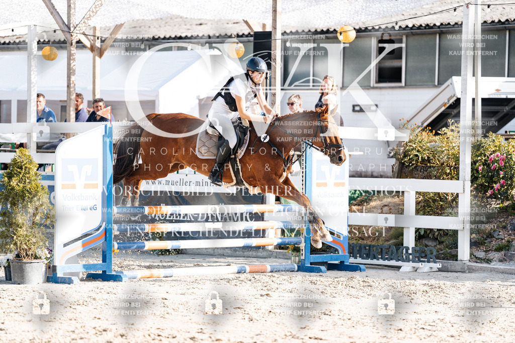 CK909607 | Turnierfotografie Pferdefotografie Trier Rheinland-Pfalz Pferdesport Reitsport Tierfotografie Sportfotografie Pferdevideo Pferdevideografie Equestrianvideography equestrianphotography  - Realisiert mit Pictrs.com