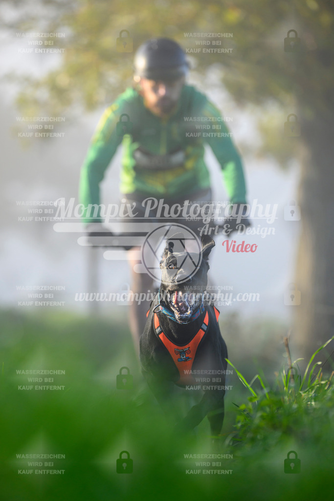 MompixPhotography_20TSB_E3_Bike-50 | PayLife