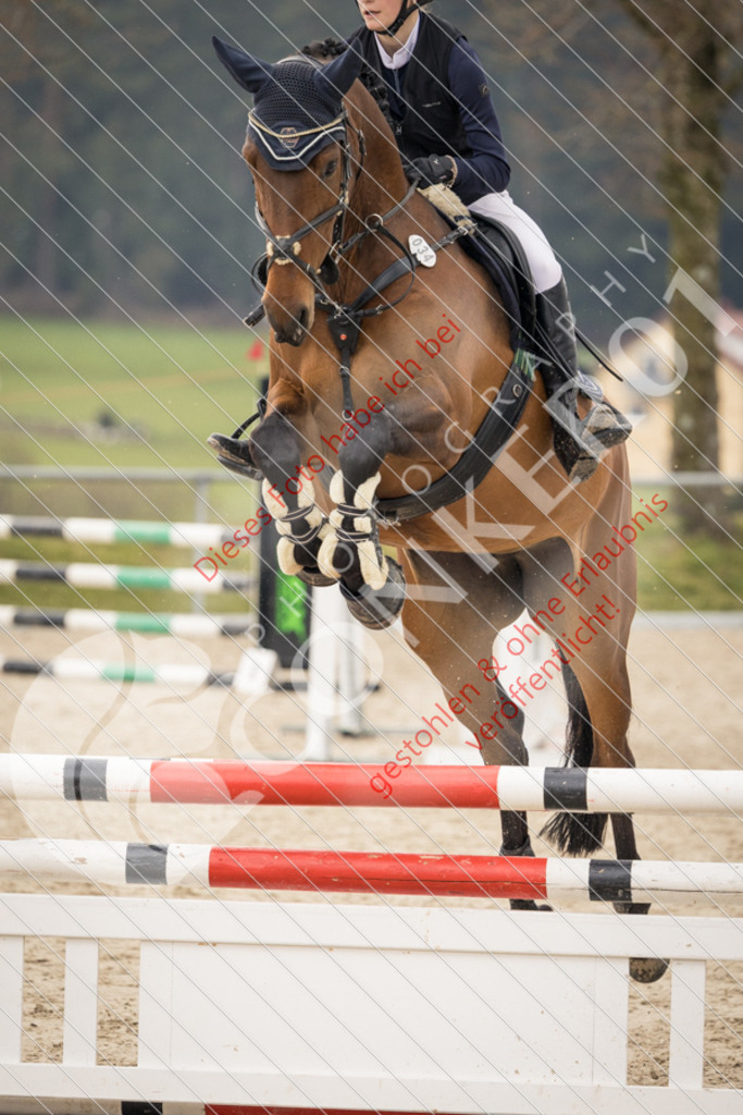 CON_1214 | Sport-, Event- und Tierfotos in Profiqualität. Einfach auswählen, bestellen und herunterladen. Dein Moment – perfekt festgehalten.
