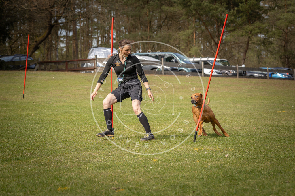 Pfotenfotografie_DV3A7135 | Hundefotografie, Tierfotograf, Pfotenfotografie, Fotoshooting Hund, Hunde Portrait, Hundesport, Hundeportraits, Heideshooting, Hunde, Sportfotograf, Hundefotograf, Turnierhundsport, THS,  - Realisiert mit Pictrs.com