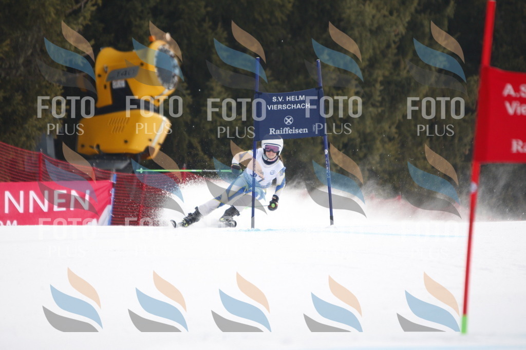 D4994 | holidayphoto