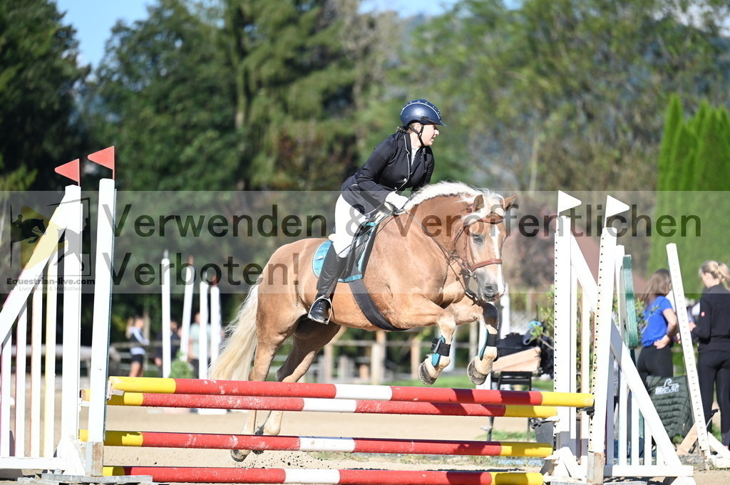 DSC_7820 | equestrian-live-com