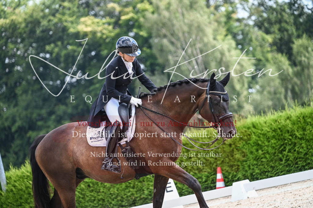 DSC_2500 | Pferde- und Turnierfotografie in Westsachsen. Pferdeportraits, Auftragszeichnungen und intuitive Kunst.
