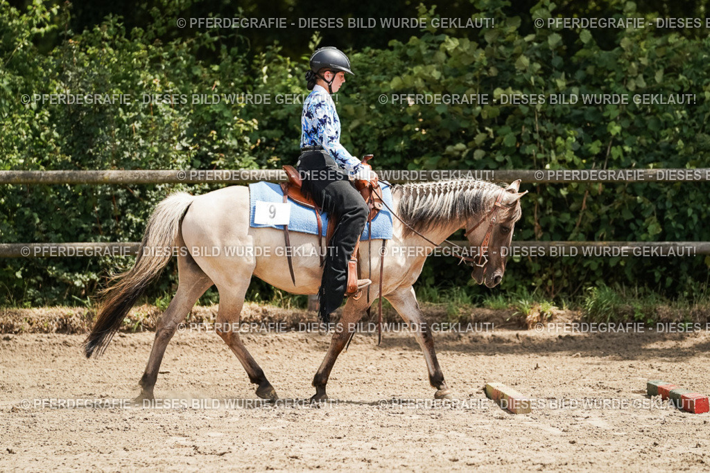 DSC07900 | Pferdegrafie