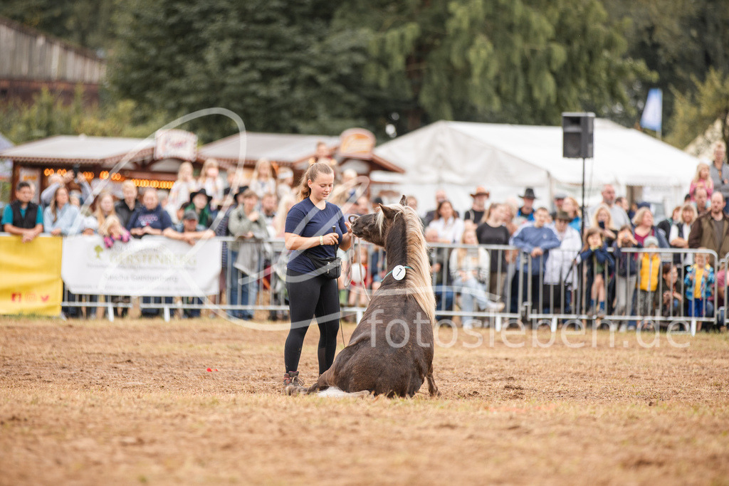 846A3727 | fotosleben - Realisiert mit Pictrs.com