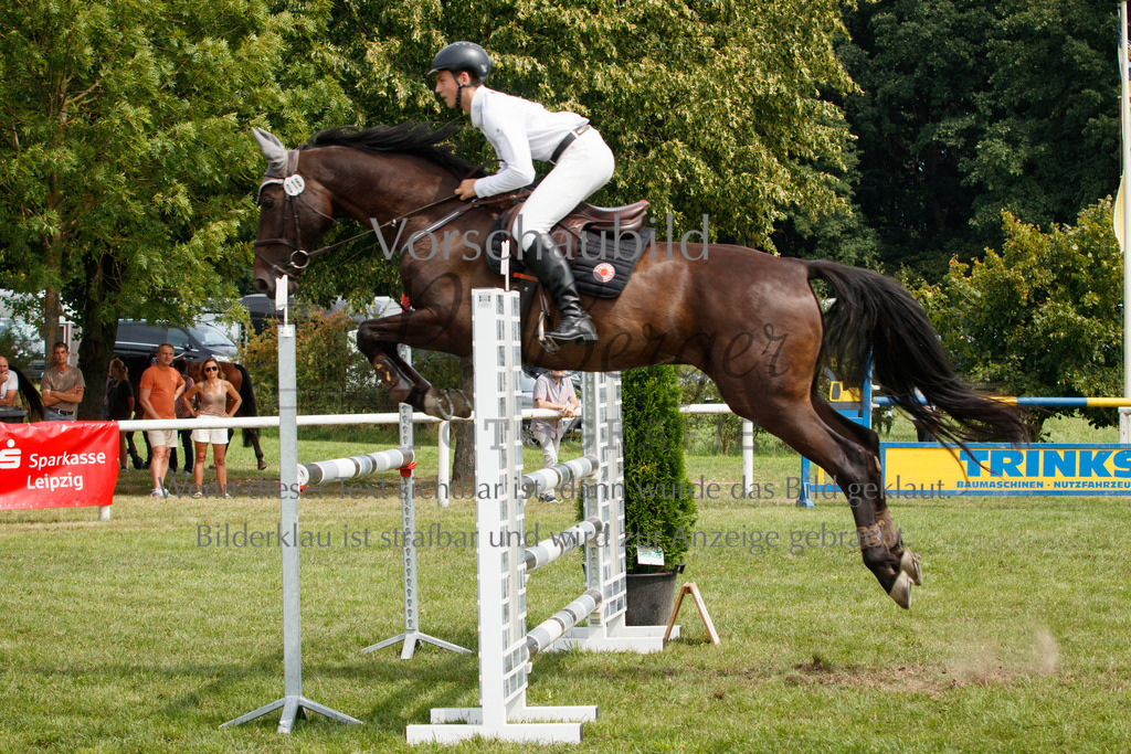 IMG_3291 | P. Berger Fotografie - Realisiert mit Pictrs.com