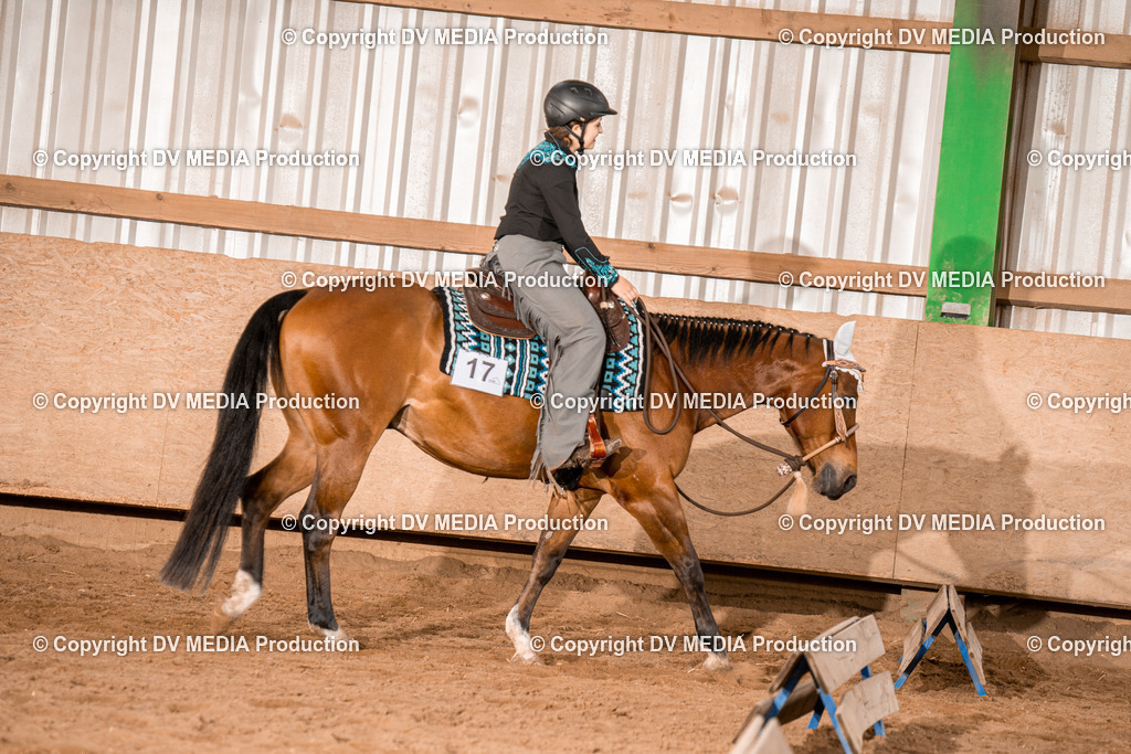 BAL02094 | dv-media-shop - Realisiert mit Pictrs.com