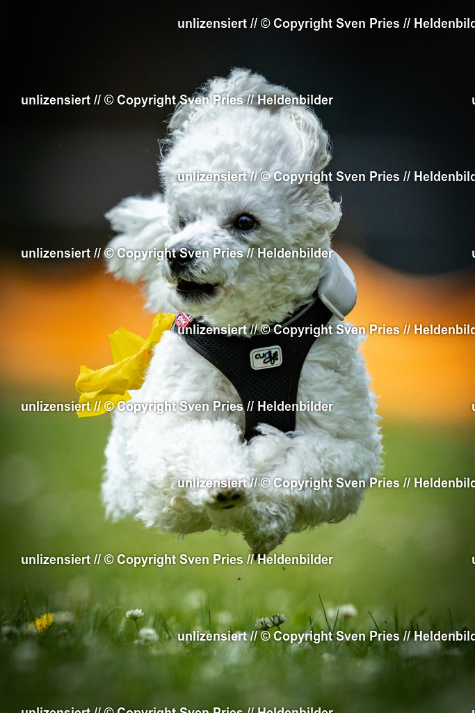 Sven Pries | 2025-05-29 - Pudelrennen KA-Durlach - Realisiert mit Pictrs.com